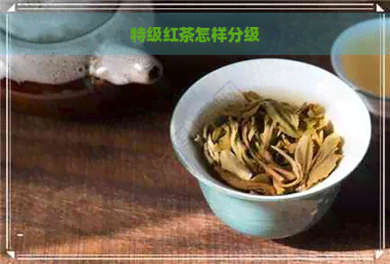 特级红茶怎样分级