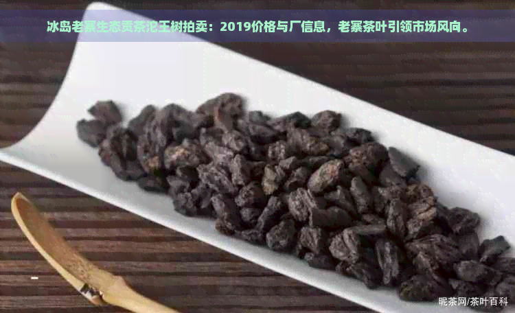 冰岛老寨生态贡茶沱王树拍卖：2019价格与厂信息，老寨茶叶引领市场风向。