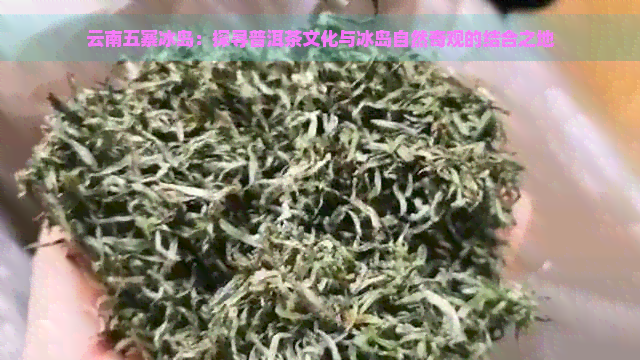 云南五寨冰岛：探寻普洱茶文化与冰岛自然奇观的结合之地