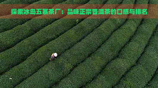 探索冰岛五寨茶厂：品味正宗普洱茶的口感与排名