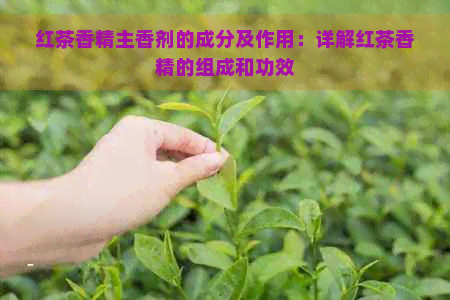 红茶香精主香剂的成分及作用：详解红茶香精的组成和功效