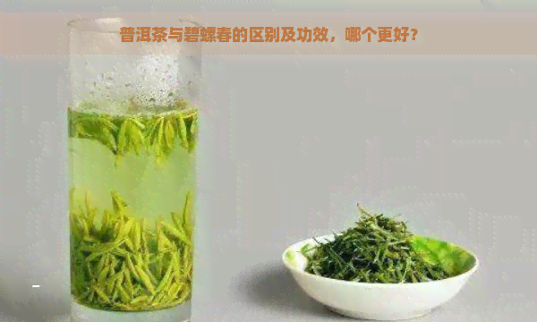 普洱茶与碧螺春的区别及功效，哪个更好？