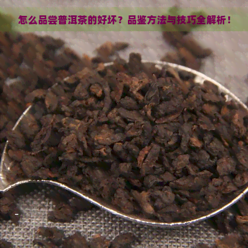 怎么品尝普洱茶的好坏？品鉴方法与技巧全解析！