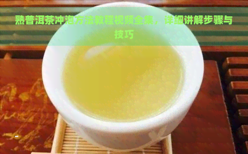 熟普洱茶冲泡方法教程视频全集，详细讲解步骤与技巧