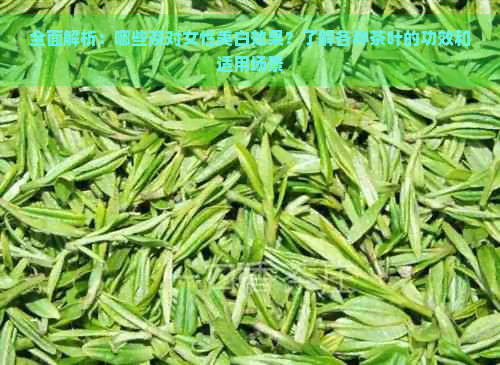 全面解析：哪些茶对女性美白效果？了解各种茶叶的功效和适用场景