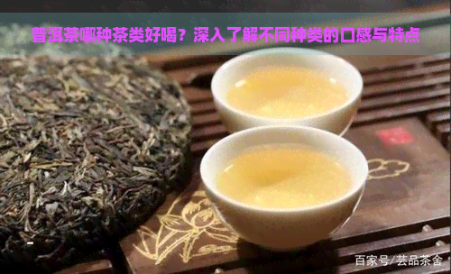 普洱茶哪种茶类好喝？深入了解不同种类的口感与特点