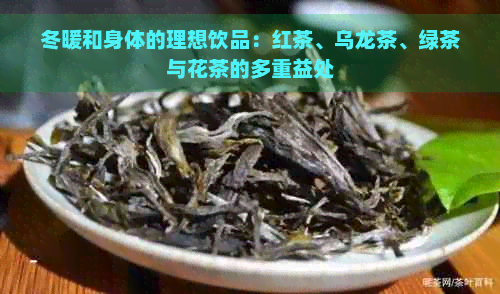 冬暖和身体的理想饮品：红茶、乌龙茶、绿茶与花茶的多重益处