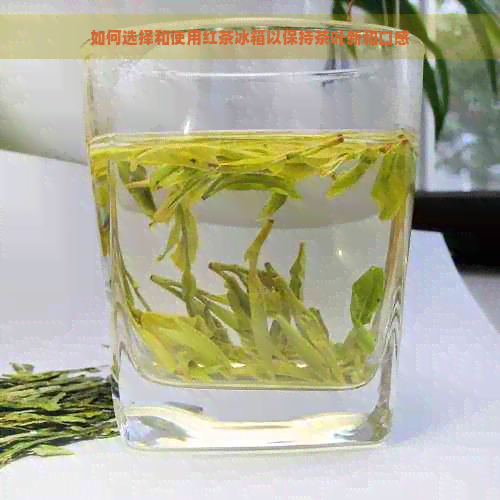 如何选择和使用红茶冰箱以保持茶叶新和口感