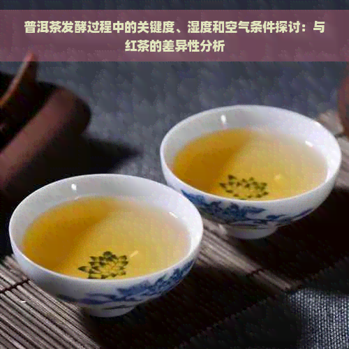 普洱茶发酵过程中的关键度、湿度和空气条件探讨：与红茶的差异性分析