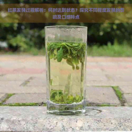 红茶发酵过程解析：何时达到状态？探究不同程度发酵的影响及口感特点