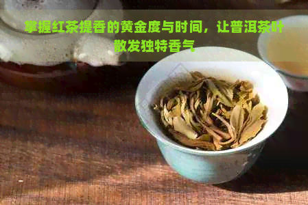 掌握红茶提香的黄金度与时间，让普洱茶叶散发独特香气