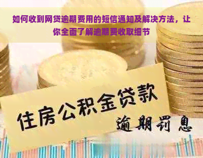 如何收到网贷逾期费用的短信通知及解决方法，让你全面了解逾期费收取细节