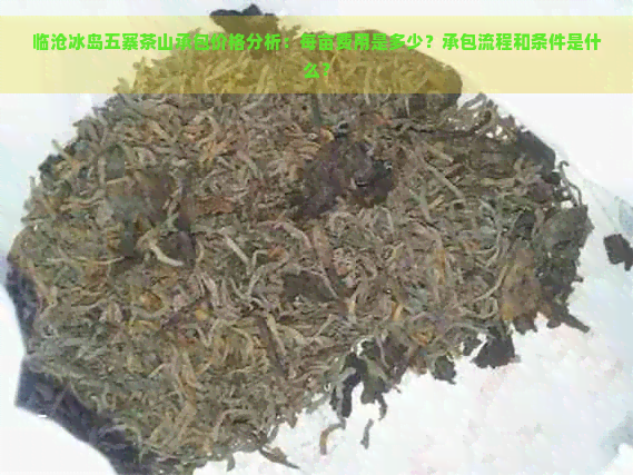 临沧冰岛五寨茶山承包价格分析：每亩费用是多少？承包流程和条件是什么？