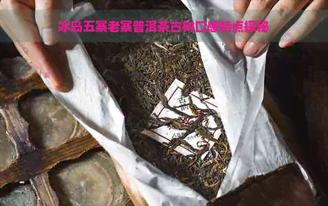 冰岛五寨老寨普洱茶古树口感特点探秘