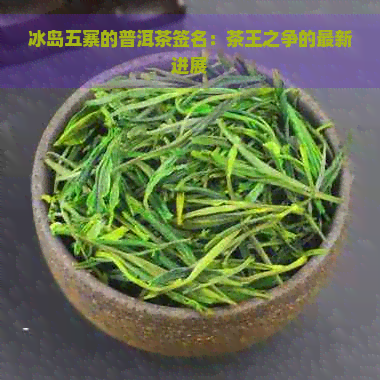 冰岛五寨的普洱茶签名：茶王之争的最新进展