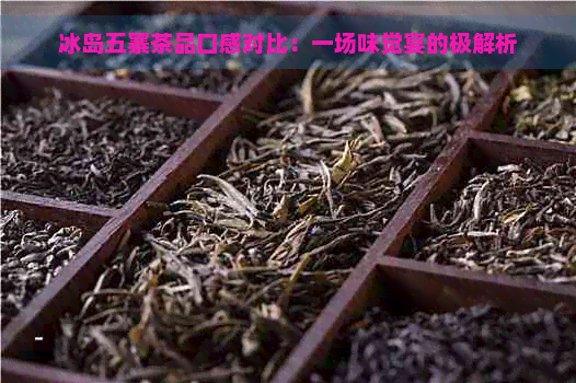 冰岛五寨茶品口感对比：一场味觉宴的极解析