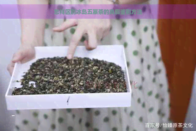 怎样区别冰岛五寨茶的真假鉴别方法