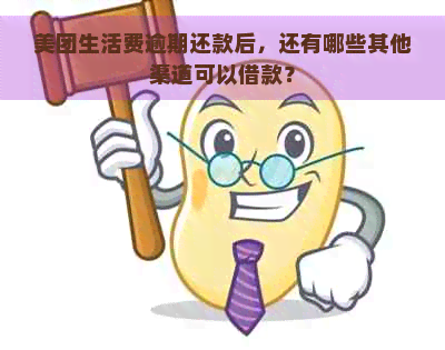 美团生活费逾期还款后，还有哪些其他渠道可以借款？