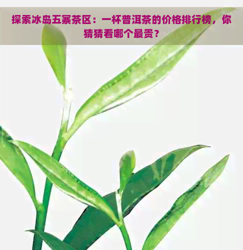 探索冰岛五寨茶区：一杯普洱茶的价格排行榜，你猜猜看哪个最贵？