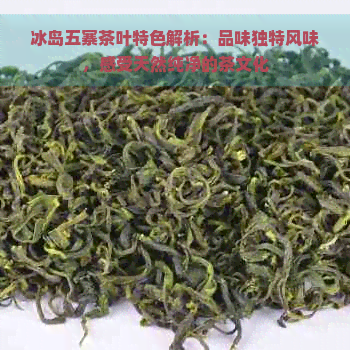 冰岛五寨茶叶特色解析：品味独特风味，感受天然纯净的茶文化