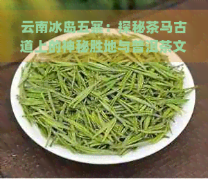 云南冰岛五寨：探秘茶马古道上的神秘胜地与普洱茶文化