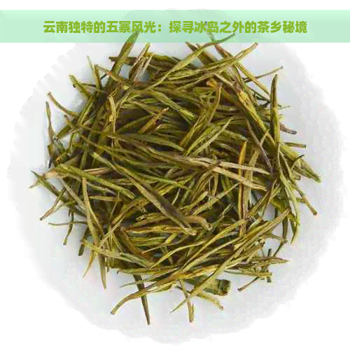 云南独特的五寨风光：探寻冰岛之外的茶乡秘境