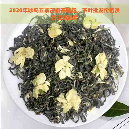 2020年冰岛五寨古树茶精选，茶叶批发价格及普洱茶图片