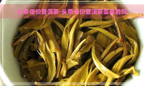 头条低价普洱茶-头条低价普洱茶是真的吗