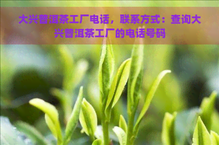 大兴普洱茶工厂电话，联系方式：查询大兴普洱茶工厂的电话号码