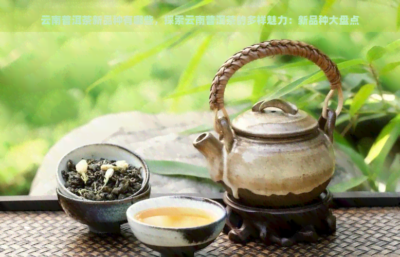 云南普洱茶新品种有哪些，探索云南普洱茶的多样魅力：新品种大盘点