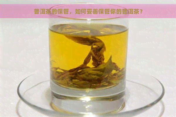 普洱茶的保管，如何妥善保管你的普洱茶？