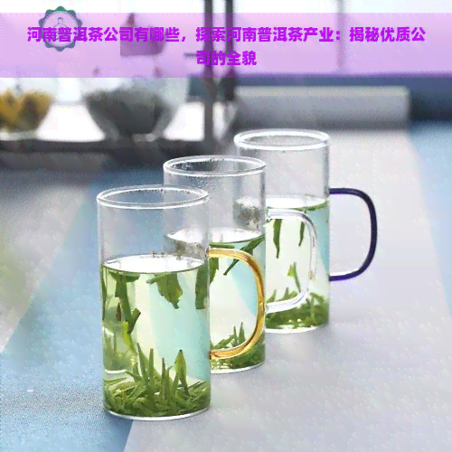 河南普洱茶公司有哪些，探索河南普洱茶产业：揭秘优质公司的全貌