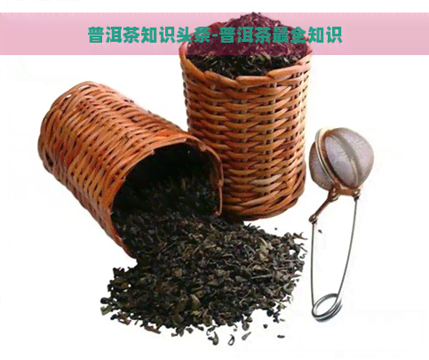 普洱茶知识头条-普洱茶最全知识