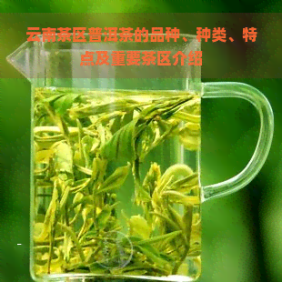 云南茶区普洱茶的品种、种类、特点及重要茶区介绍