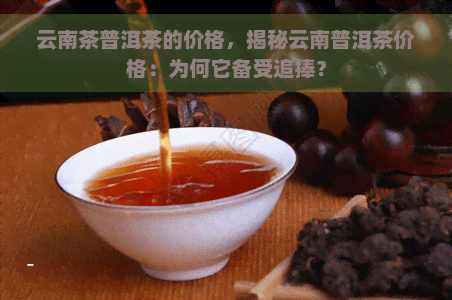 云南茶普洱茶的价格，揭秘云南普洱茶价格：为何它备受追捧？