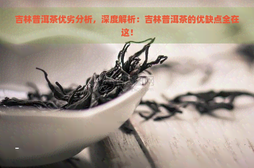 吉林普洱茶优劣分析，深度解析：吉林普洱茶的优缺点全在这！