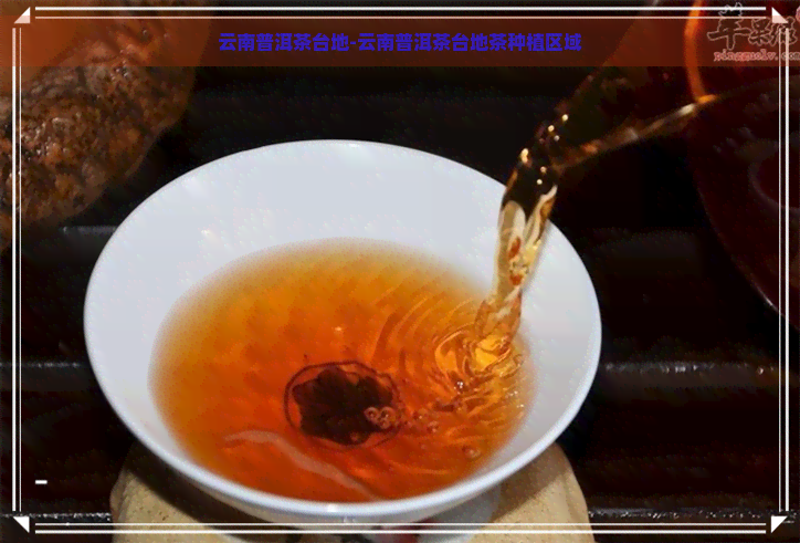 云南普洱茶台地-云南普洱茶台地茶种植区域