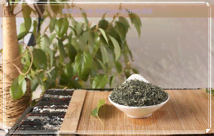 普洱茶600年-普洱茶600年古树珍藏版