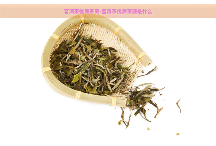 普洱茶优质茶底-普洱茶优质茶底是什么