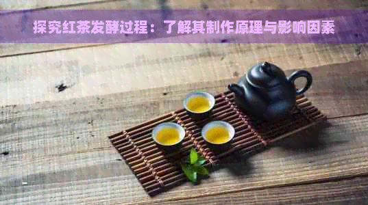 探究红茶发酵过程：了解其制作原理与影响因素