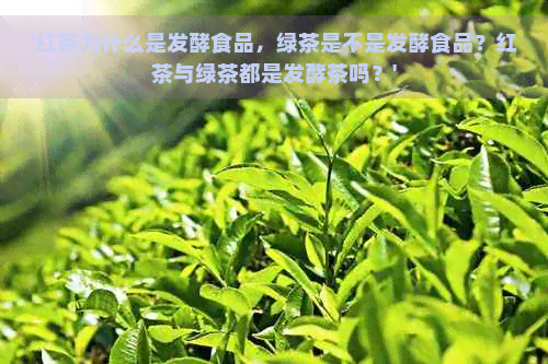 '红茶为什么是发酵食品，绿茶是不是发酵食品？红茶与绿茶都是发酵茶吗？'