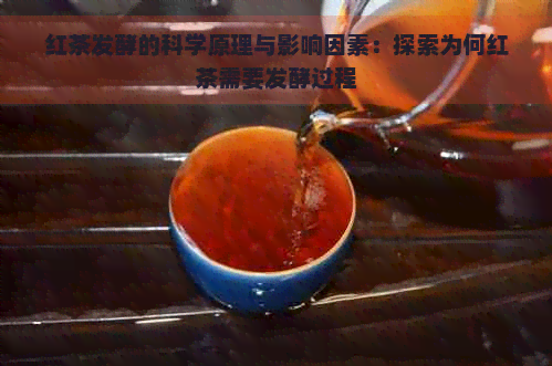 红茶发酵的科学原理与影响因素：探索为何红茶需要发酵过程