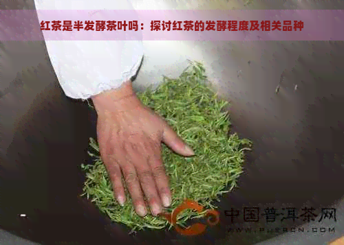 红茶是半发酵茶叶吗：探讨红茶的发酵程度及相关品种