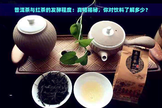 普洱茶与红茶的发酵程度：真相揭秘，你对饮料了解多少？