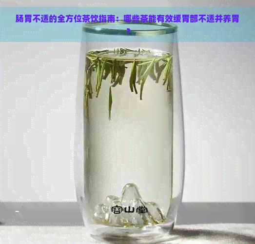 肠胃不适的全方位茶饮指南：哪些茶能有效缓胃部不适并养胃？