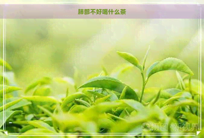 肺部不好喝什么茶