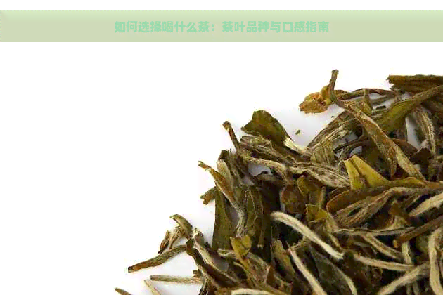 如何选择喝什么茶：茶叶品种与口感指南