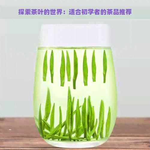 探索茶叶的世界：适合初学者的茶品推荐