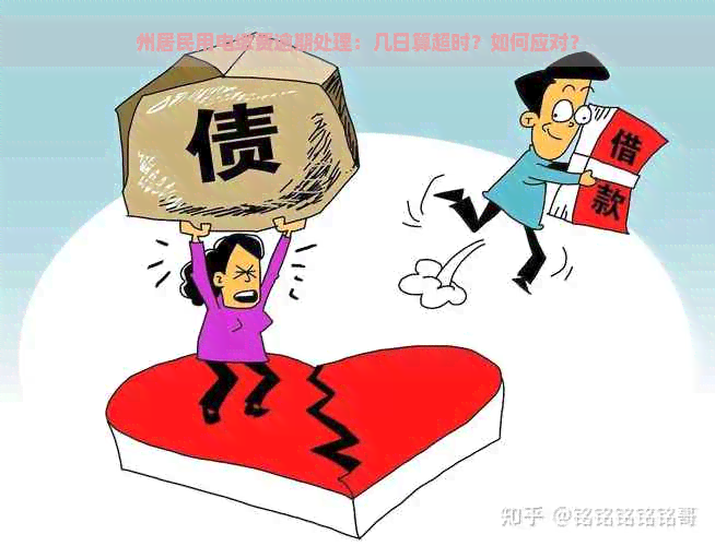 州居民用电缴费逾期处理：几日算超时？如何应对？