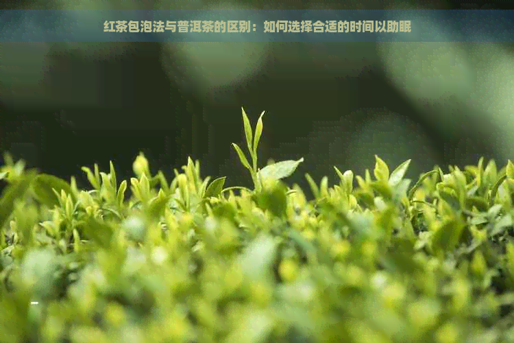 红茶包泡法与普洱茶的区别：如何选择合适的时间以助眠